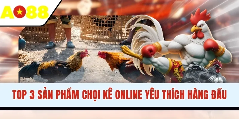 Top 3 sản phẩm chọi kê online yêu thích hàng đầu
